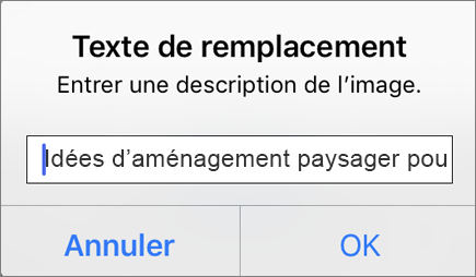 Outlook pour iOS - Texte de remplacement pour le menu d’image