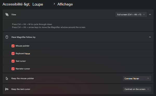 Capture d’écran montrant l’affichage de la Loupe > d’accessibilité > avec le plein écran sélectionné : les cases à cocher « Demander à la loupe de me suivre » (pointeur de la souris, focus clavier, curseur de texte, curseur du narrateur) ainsi que les listes déroulantes « Conserver le pointeur de la souris » et « Conserver le curseur de texte ».