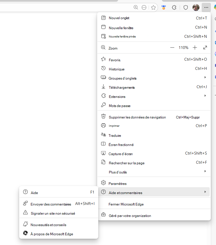 Capture d’écran montrant l’aide et les commentaires dans Edge.