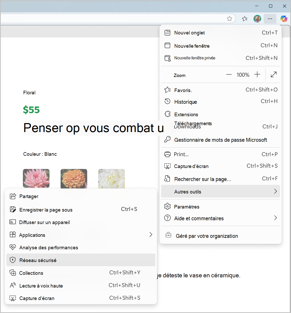 Capture d’écran du réseau sécurisé à partir du menu Paramètres et plus