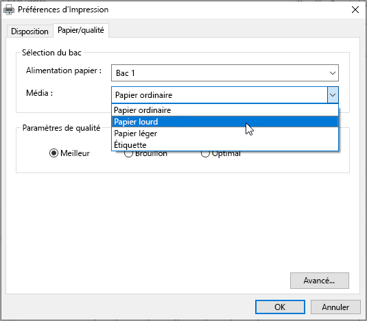 Préférences de boîte de dialogue d’impression système Windows