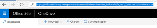 Capture d’écran de OneDrive.
