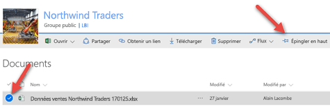 Sélectionnez le fichier, puis cliquez sur Épingler en haut pour le rendre facilement accessible dans votre bibliothèque de documents