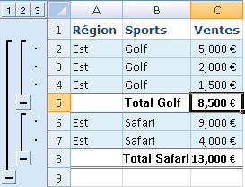 Example of automatic subtotals