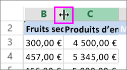 modifier la largeur de colonne