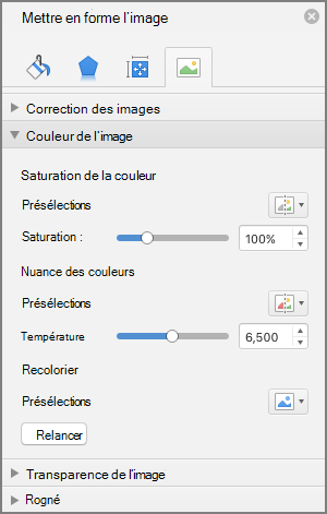 Ajustez les paramètres de saturation des couleurs dans le volet Format de l’image