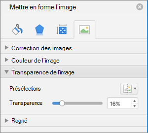 Ajuster la transparence des couleurs dans le volet Format de l’image