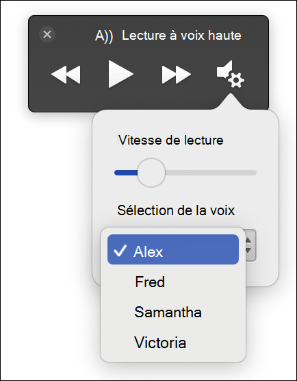 Quatre options de sélection vocale s’affichent pour Lecteur immersif fonctionnalité lecture à voix haute