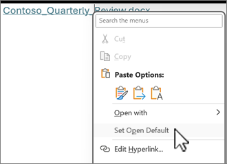 Appuyez de façon prolongée ou cliquez avec le bouton droit pour accéder au menu Définir l’option Ouvrir par défaut.