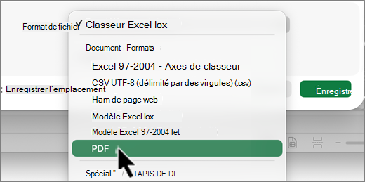 Capture d’écran de la sélection du type de fichier Mac.