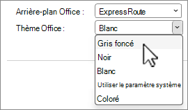 Capture d’écran des sélections de thèmes Office.