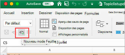 Affiche la feuille de calcul Excel