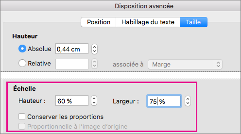 Dans l’onglet Taille de la boîte de dialogue Disposition avancée, les options Échelle sont mises en évidence.
