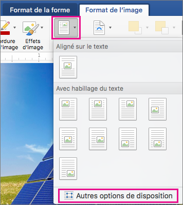 Dans l’onglet Format de l’image, les options Position et Autres options de disposition sont mises en évidence.