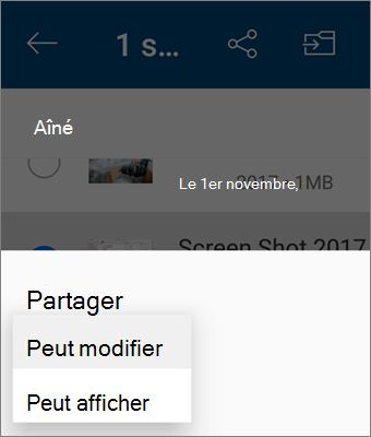 Capture d’écran de la modification de l’autorisation lors du partage dans l’application OneDrive pour Android