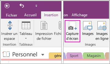 Capture d’écran du bouton Insérer la capture d’écran dans OneNote 2016