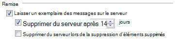 Section de livraison de l’onglet Options avancées de la boîte de dialogue Paramètres de courrier Internet.