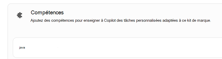 Capture d’écran montrant une compétence personnalisée dans la section Compétences.