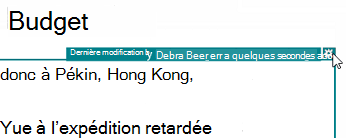 Notation de mise en surbrillance des révisions concernant la personne qui a apporté une modification et le moment où cette dernière a été apportée
