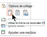 Sous Options de collage, sélectionnez la première option Utiliser le thème de destination