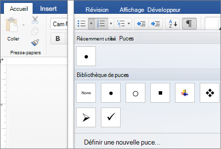 Onglet Accueil avec la galerie Puces