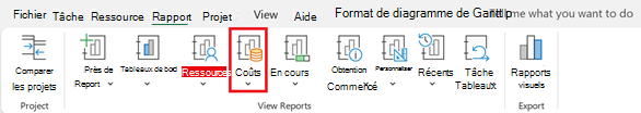 Bouton Coûts sous l’onglet Rapport