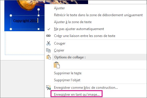 Enregistrer en tant qu’image