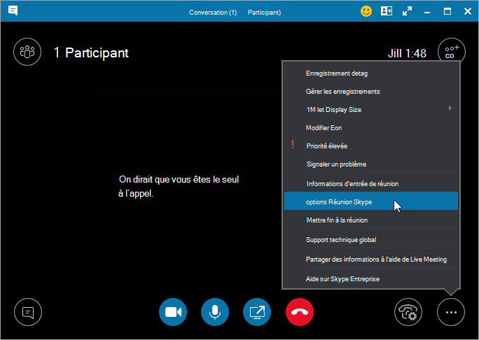 More dialog with Meeting Options highlighted