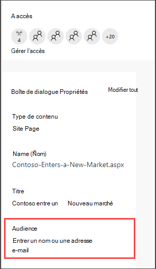 Volet de détails des pages avec l’option permettant d’entrer une audience
