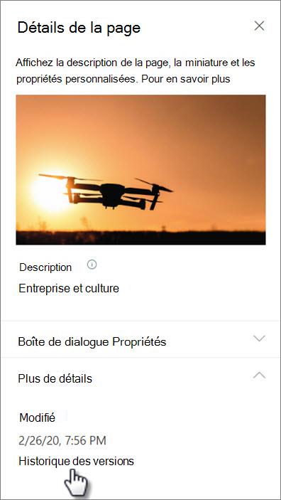 Capture d’écran du lien Historique des versions sous les détails de la page