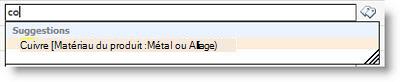 Lorsque vous commencez à taper des caractères, des termes vous sont proposés.