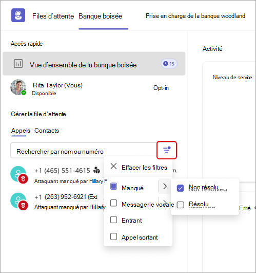 Capture d’écran montrant les détails du filtre d’appels dans l’application Files d’attente.