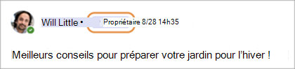 Capture d’écran montrant les badges du propriétaire de la communauté dans Teams (gratuit).