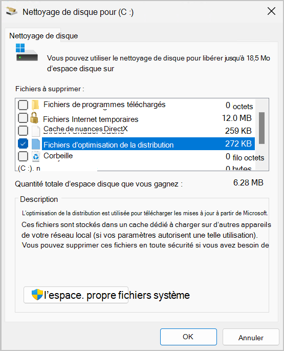 Capture d’écran de l’utilitaire de nettoyage de disque montrant l’option d’optimisation de la distribution Files sélectionnée.