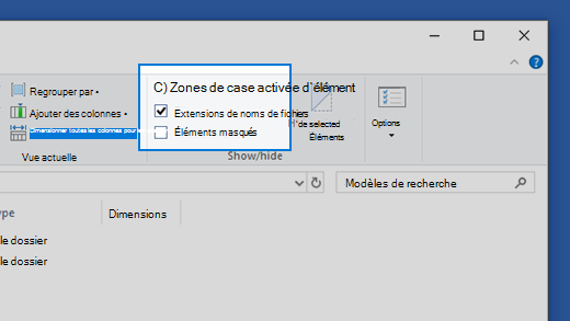 Procédure d’activation de l’affichage des extensions de nom de fichier dans Windows