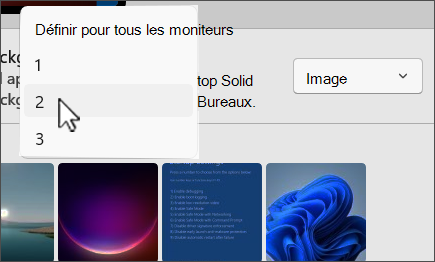 Capture d’écran montrant les choix personnalisés de plusieurs moniteurs