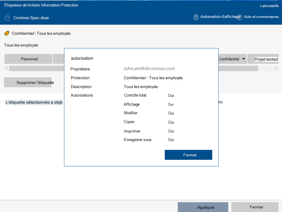 Afficher les autorisations avec Protection des données Microsoft Purview File Labeler