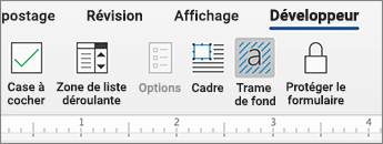 Onglet Développeur avec contrôles de contenu