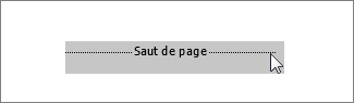 Image d’un saut de page sélectionné dans Word Web App