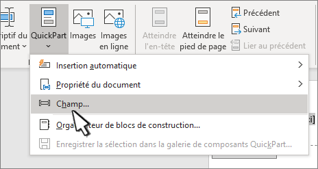 Menu QuickParts avec Champs mis en surbrillance