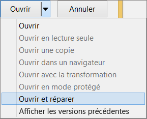 Open and Repair