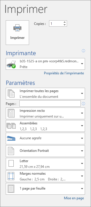 Capture d’écran du volet Imprimer avec les différents paramètres d’impression, par exemple, le nombre de copies.