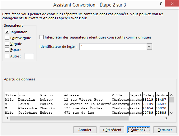 Les options des délimiteurs sont mises en surbrillance dans l’Assistant Importation de texte.