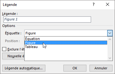 Utilisez la boîte de dialogue Légende pour définir les légendes de vos figures, tableaux ou équations.