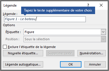 Tapez un texte personnalisé facultatif pour vos légendes dans le champ Étiquette.