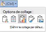 Le bouton d’options de collage dans Word, développé pour afficher les options.