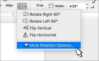 Autre élément de menu Options de rotation