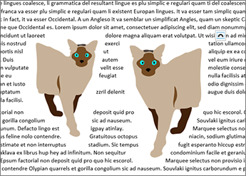 Par le biais de la habillage du texte