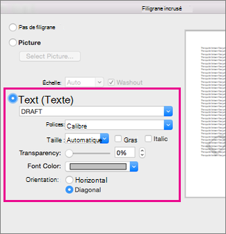 Boîte de dialogue Insérer un filigrane avec les options Texte mises en évidence