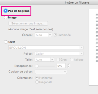 Option Pas de filigrane sélectionnée dans la boîte de dialogue Insérer un filigrane